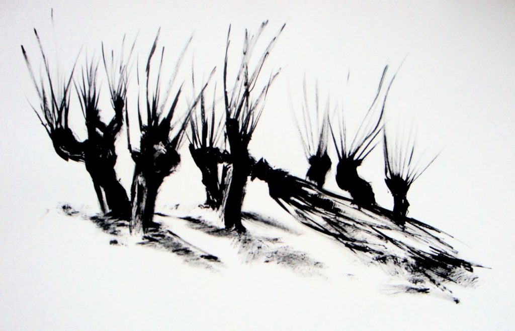 Wilgen 2015. Oostindische inkt op papier, 70 bij 90 cm, incl. lijst