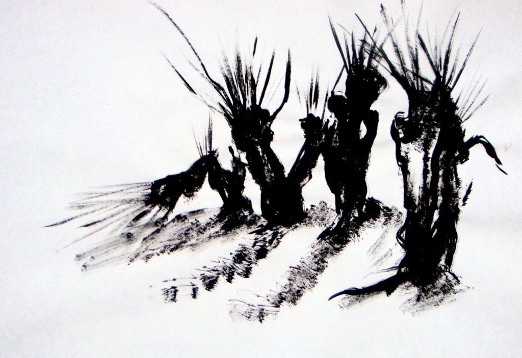 Wilgen 2015. Oostindische inkt op rijstpapier, 60 bij 80 cm, incl. lijst