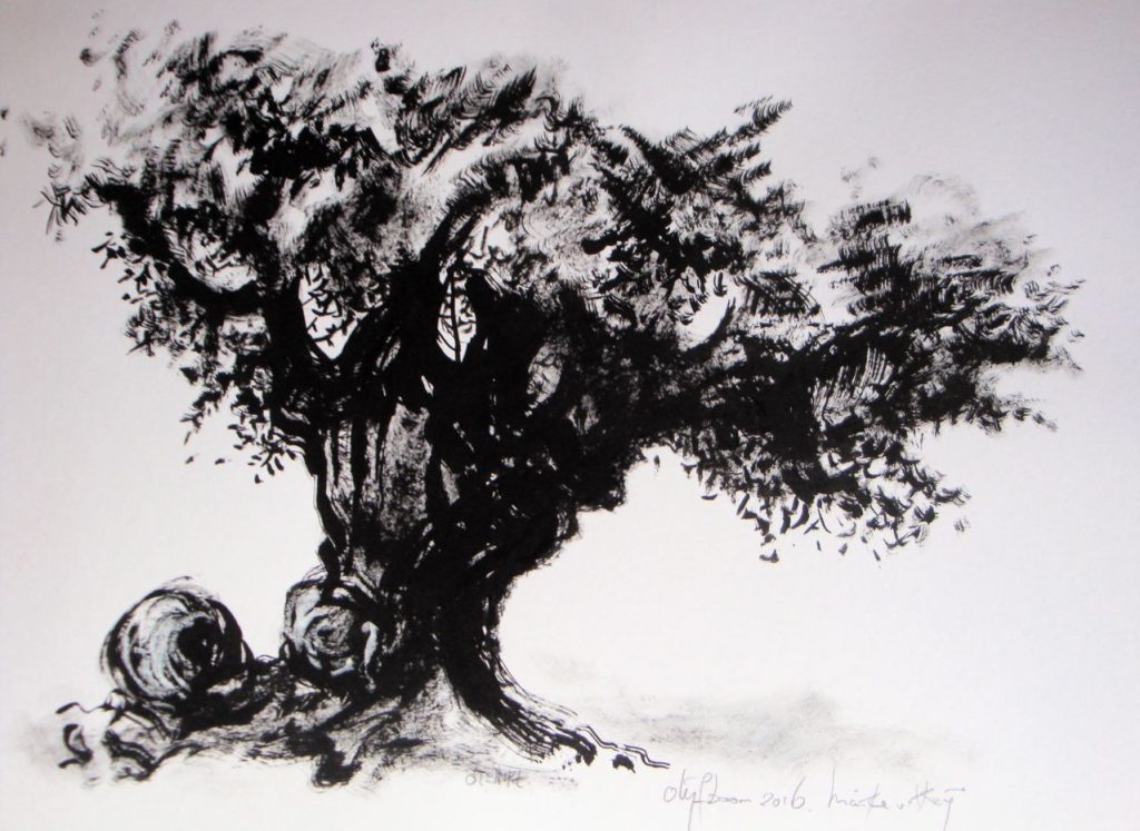 Olijfboom, 2016. Oostindische inkt op papier, 70 bij 90 cm